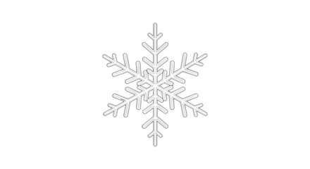 A single detailed white snowflake with intricate geometric patterns on a plain white background image view