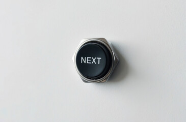 Toggle switch button. “Next” text, clean background, simple design.