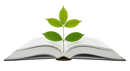 Plant growing from an open book isolated on transparent background