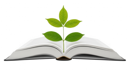 Plant growing from an open book isolated on transparent background