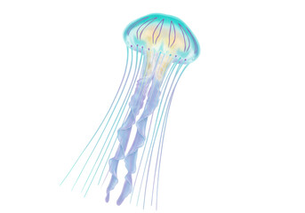 Elegant jellyfish PNG isolated on transparent background, colorful sea creature with long tentacles for marine life designs