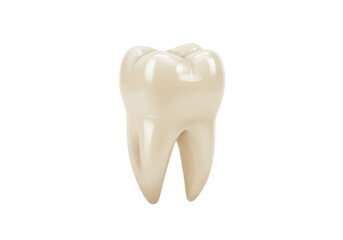 Realistic molar tooth isolated on transparent background PNG, dental care and oral hygiene concept for medical and educational use