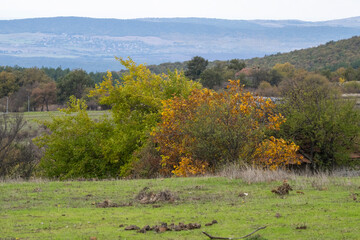 Fototapeta premium A patchwork of autumn trees and open fields stretches toward distant hills and a red-roofed house under a muted sky.