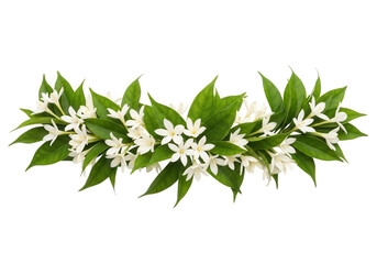 Garland of white flowers and green leaves isolated on transparent background