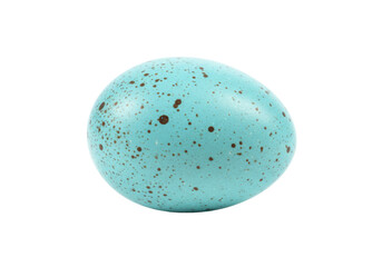 Speckled robin egg PNG isolated on transparent background, light blue bird egg with brown spots for Easter and spring