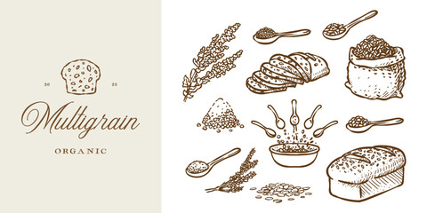 Multigrain loaf bread logo for bakery company. Illustration collection of bread, grain, seed, dough, and wood spoon set hand drawn style