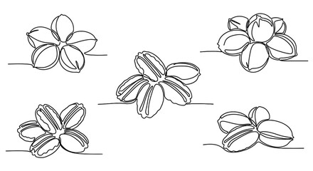 Obraz premium Five stylized flower outlines line art floral