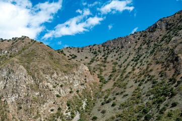 Sparse vegetation on mountain slopes in the Qinghai Tibet Plateau region
