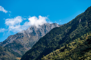Mountainous forest scenery of the Qinghai-Tibet Plateau