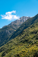 Mountainous forest scenery of the Qinghai-Tibet Plateau