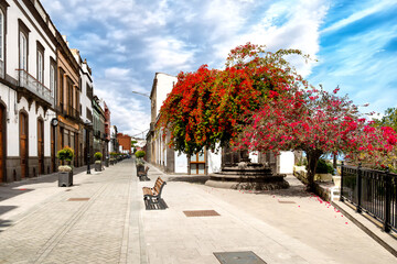 Arucas, Gran Canaria, quiet paved old town street with historic facades, benches, blooming bougainvillea and trees under a cloudy sky.