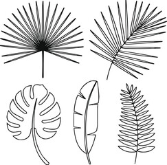 Exotic Palm Leaf Outline Icon Set Tropical Jungle Foliage Collection