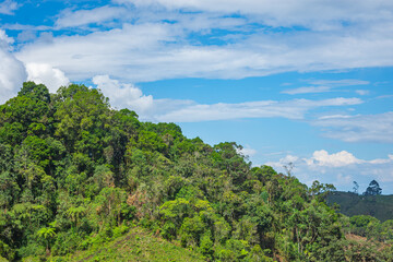 Beautiful landscape of lush green hills under a blue sky in San Agustin, Huila, Colombia, showcasing rich biodiversity.