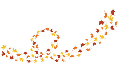 autumn leaves fall flow by the wind, vector illustration isolated on white background.