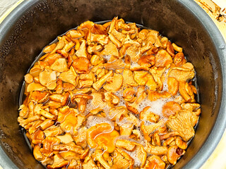 Chanterelle mushrooms being cooked in a pot on a sunny afternoon in a rustic kitchen setting