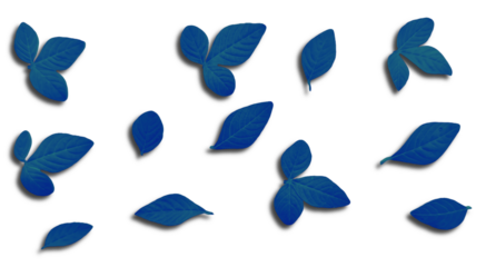 Vibrant Blue Leaves Scattered with Shadow - Transparent Background