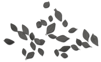 Monochrome Scattered Leaves Isolated on Transparent Background