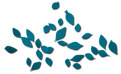 Scattered Dark Teal Leaves with Shadow Overlay - Transparent Background