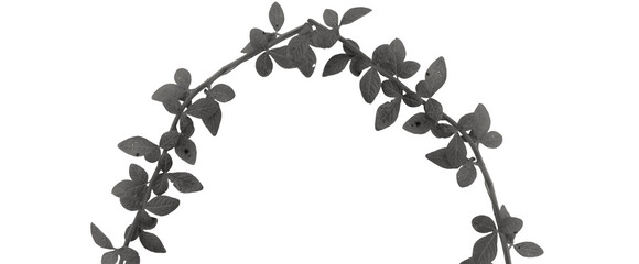Curved Monochrome Leafy Vine Arch Isolated on Transparent Background