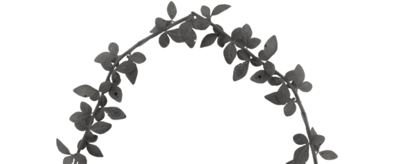 Curved Monochrome Leafy Vine Arch Isolated on Transparent Background