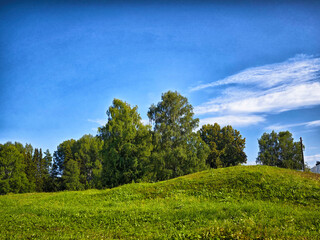 Lush green hillside under a clear blue sky showcasing vibrant trees and tranquil scenery