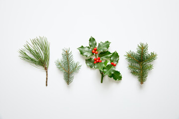 Christmas Holly and Evergreen Branches on White Background