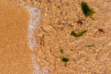 Sunlight catching ripples of a wave rolling onto wet sand