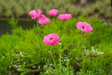 Voyage &agrave; Los Angeles