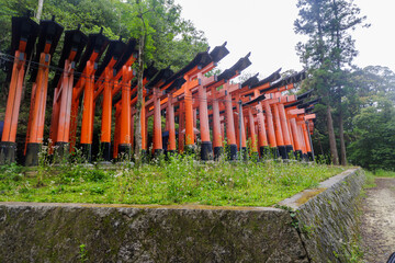 Red torii gates at Fushimi Inari Shrine in Kyoto, Japan