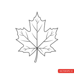 Fototapeta premium Maple Leaf Outline A Detailed Black and White Illustration for Fall and Nature Designs