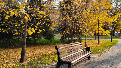 Autumn landscape in the park 7