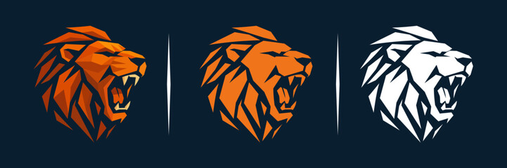 vector image of lion head