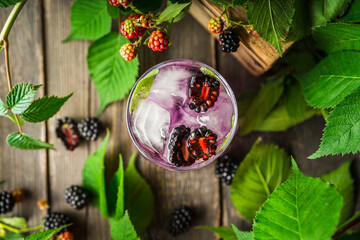 Gin based cocktail with blackberry and branches on rustic wooden background. Selective focus.