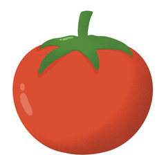 Cute Colorful Fruits and Vegetables Red Tomato 