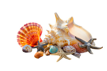 Obraz premium Collection of Seashells and Starfish a Marine Life Treasure Trove