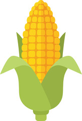 Obraz premium Fresh ripe corn cob with green husks isolated on healthy food ingredient vector