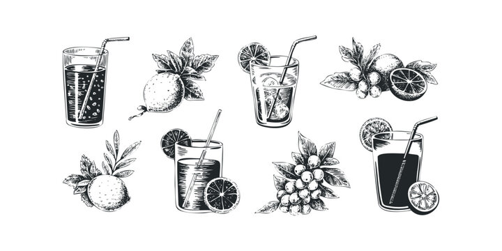 Assortment of Fruity Drinks with Citrus Slices