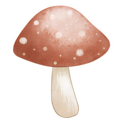 Watercolor cute mushroom illustration