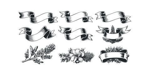 Ornate Ribbon and Botanical Elements Collection