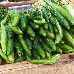 Fresh green cucumbers piled high ready for harvest at a local market stand