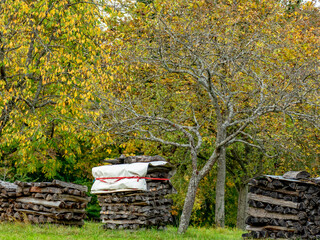 Brennholzlager auf einer Wiese im Herbst © focus finder