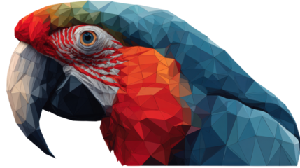 Low Poly Macaw Parrot on white background