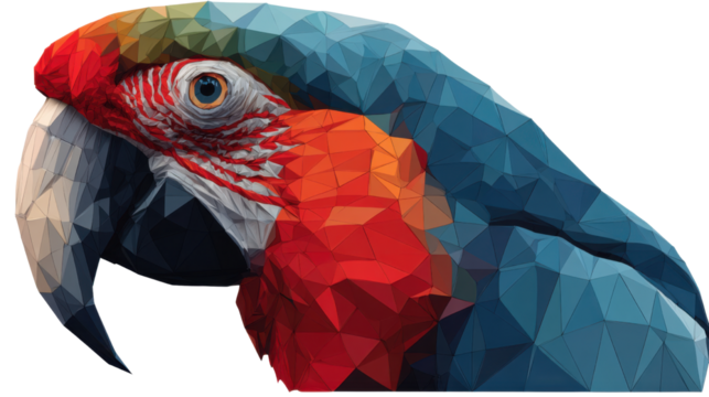 Low Poly Macaw Parrot on white background