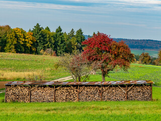 Brennholzlager auf einer Wiese im Herbst © focus finder