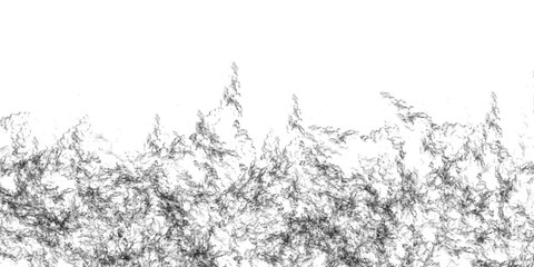 Abstract black and white organic wispy lines forming a textured border against a clean transparent background, suggesting natural elements