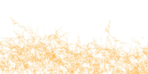 Obraz premium Abstract orange watercolor splash isolated on transparent background, representing artistic texture and creative design elements