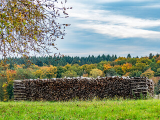 Brennholzlager auf einer Wiese im Herbst © focus finder