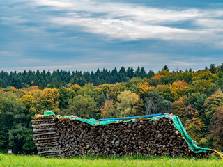 Brennholzlager auf einer Wiese im Herbst © focus finder