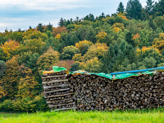 Brennholzlager auf einer Wiese im Herbst © focus finder