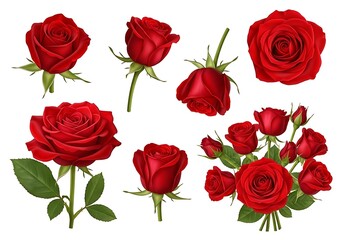 Elegant Red Roses Collection - A Symbol of Love and Beauty.